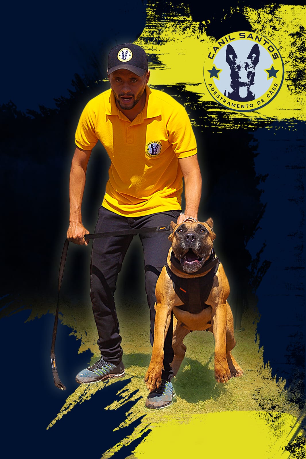 Presa Canário preto em apresentação no Canil Del Santos