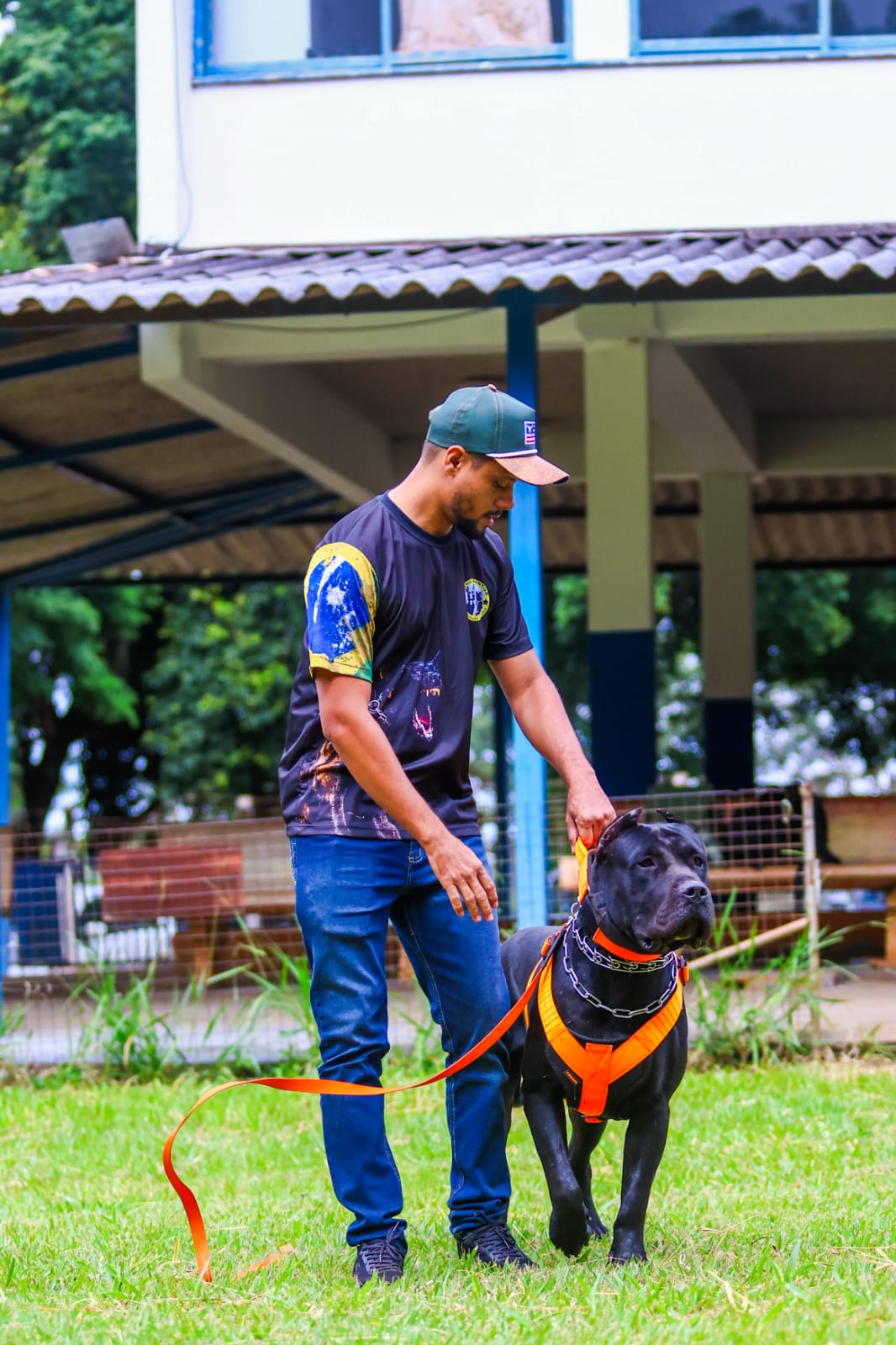 Condutor com Presa Canário preto no gramado