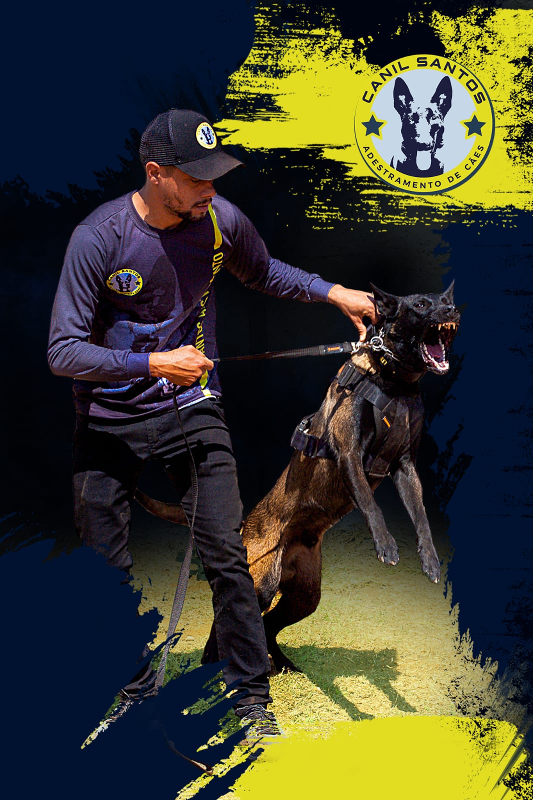 Cão de trabalho em exercício de condução