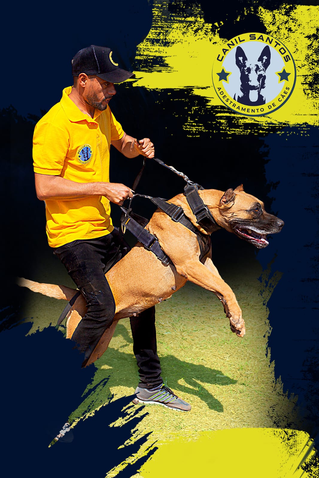 Presa Canário em composição promocional do Canil Del Santos